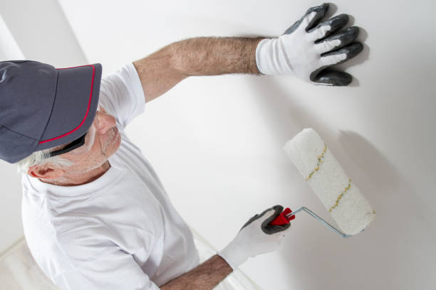 Best Post-Construction Mold Inspection  in River Forest, IL
