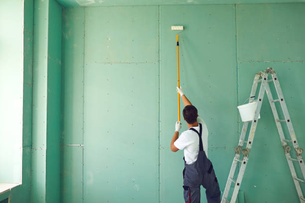 Best Emergency Mold Remediation  in River Forest, IL