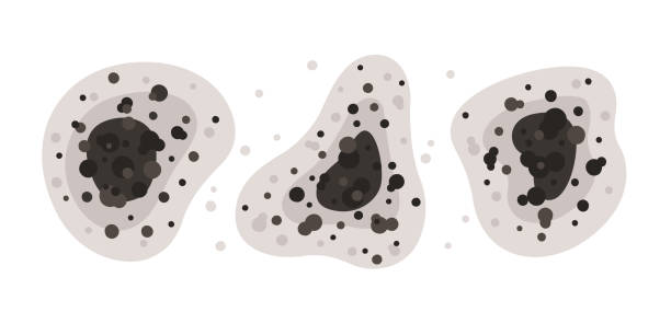 Best Air Quality Testing for Mold Spores  in River Forest, IL