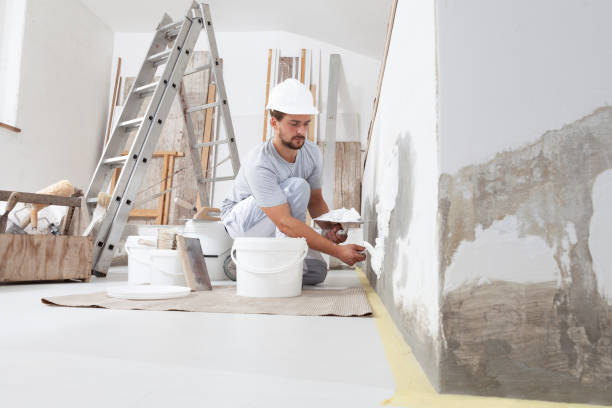Best Residential Mold Inspection & Testing  in River Forest, IL