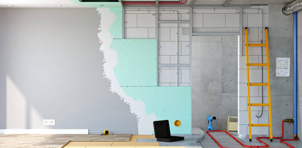  River Forest, IL Mold Removal Pros