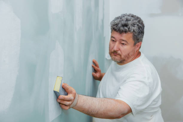 Best HVAC Mold Inspection and Cleaning  in River Forest, IL