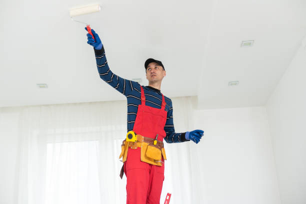 Best Basement Mold Removal  in River Forest, IL