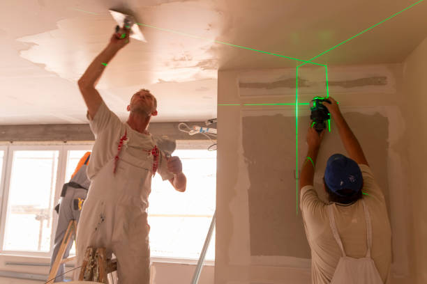 Best Air Quality Testing for Mold Spores  in River Forest, IL