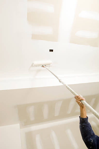 Best Mold Removal for HVAC Installations  in River Forest, IL