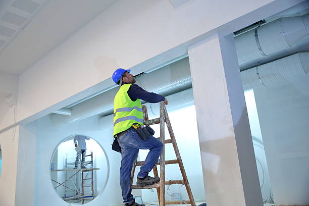 Best Forensic Mold Investigation  in River Forest, IL